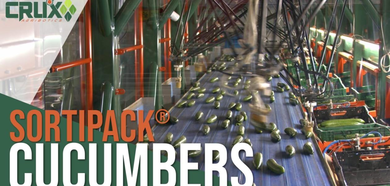 SortiPack® Cucumber robot line launched globally