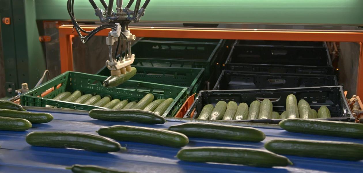 ‘From 15 to 6 employees thanks to SortiPack®’ – ‘Onder Glas’ magazine article