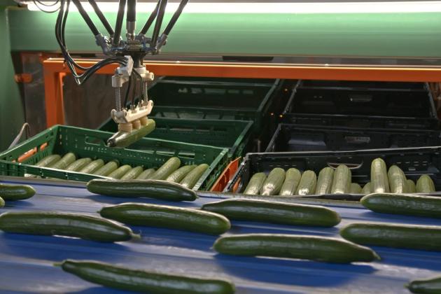 ‘From 15 to 6 employees thanks to SortiPack®’ – ‘Onder Glas’ magazine article