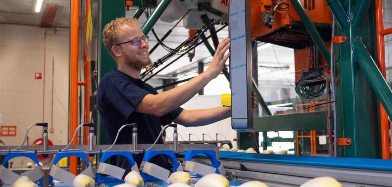 Crux Agribotics launches SortiPack® Chicory