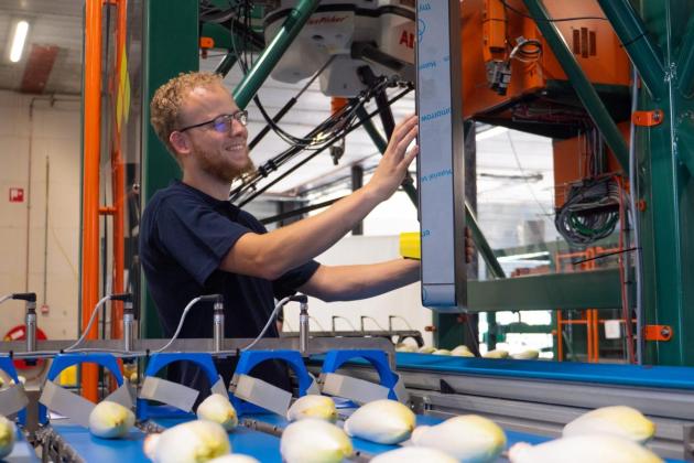 Crux Agribotics launches SortiPack® Chicory